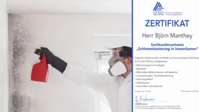 TTA_Schimmelsanierung