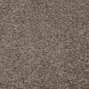 Associated Weavers Dorado, Gaia - FDRADTA40500P 40