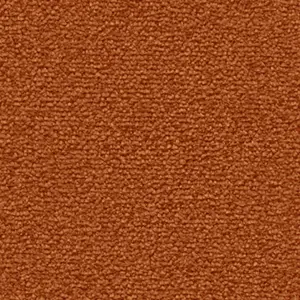 DAS/TEPPICH/WERK Fascination, Lyrica - 101371A400 2F34
