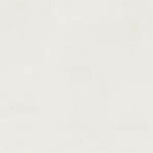 Wineo Wineo 1500 Purline Bioboden, Wineo 1500 fusion XL zum Kleben - PL107C Cool.One