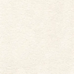 Associated Weavers Victory - Victory4500 04