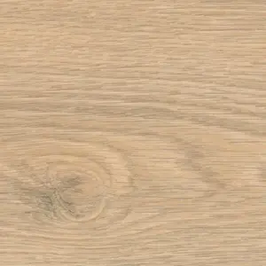 HARO Tritty 100 Gran Via, Tritty 100 Gran Via 4V - 544735 Eiche Flavia puro