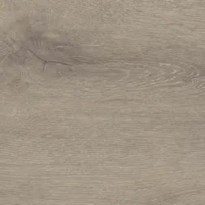 HARO Tritty 100 Gran Via, Tritty 100 Gran Via 4V - 541521 Eiche Veneto mocca