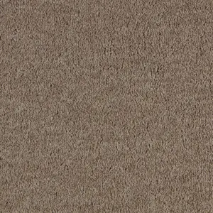 Lano SmartStrand - LZEO.500.0430 0430 SABLE