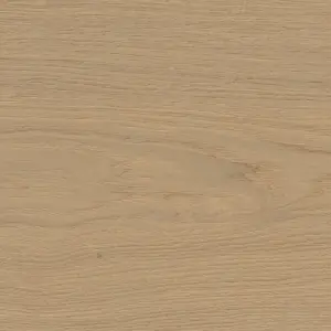 HARO Serie 4000 Landhausdiele Plaza 240 - 541434 Eiche sandgrau Markant strukturiert nL+