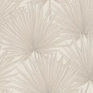 A.S. Création Antigua - 390902