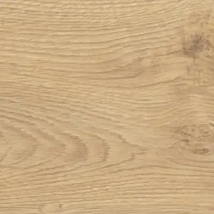 HARO Tritty 100 Campus, Tritty 100 Campus 4V - 544751 Eiche Portland puro