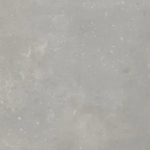Gerflor Primetex - C3682064 LEONE CLEAR