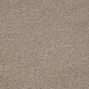 Associated Weavers Sentiment, Sensualite - FSENTTA40400P 40