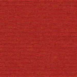 tretford Ever - 1010114582 582 - Grapefruit