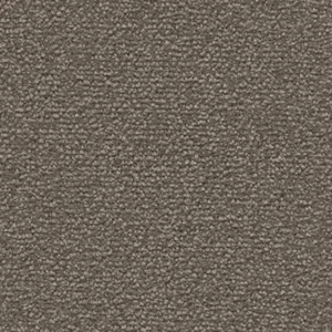 DAS/TEPPICH/WERK Fascination, Lyrica - 101384A500 5X81