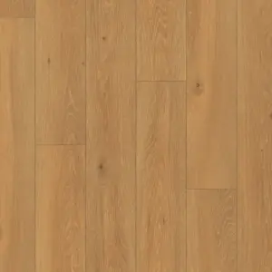 Quick-Step - CLM1659