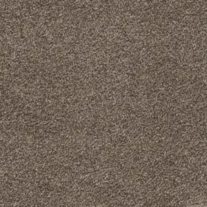 Associated Weavers Glory - Glory45400 45