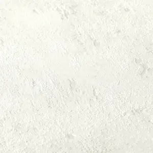 A.S. Création Blooming - 224040