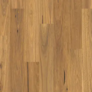 Quick-Step Eligna Pure spotted gum - EL6627 - Laminatboden mit integrierter Dämmung Quick-Step - EL6627