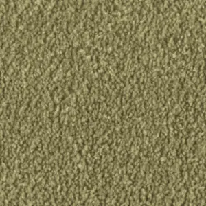 DAS/TEPPICH/WERK Fascination, Alba - 103724A400 4H84