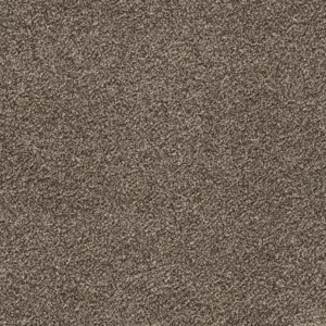 Associated Weavers Glory - Glory45500 45