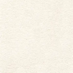 Associated Weavers Victory - Victory4400 04